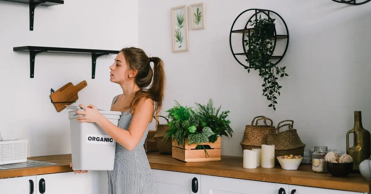 Comment Choisir un Équipement Électrique Écologique